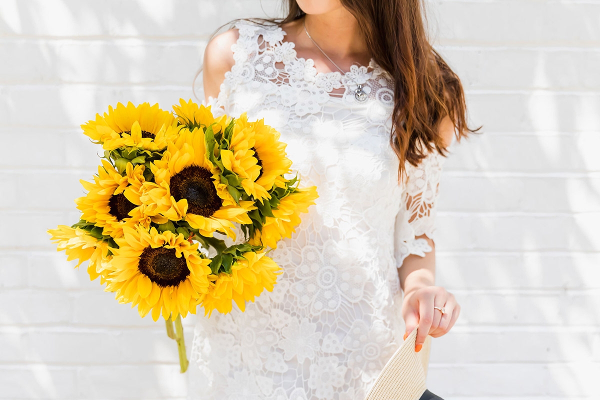 sunflower facts holding bouquet