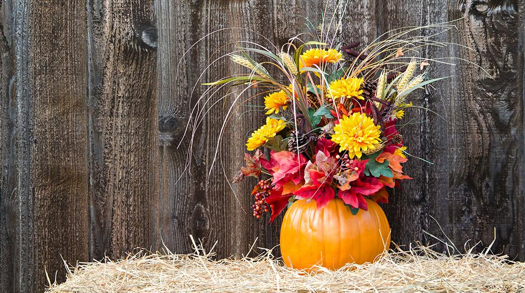 Article Cards Featured Image Halloween Pumpkin with Flowers