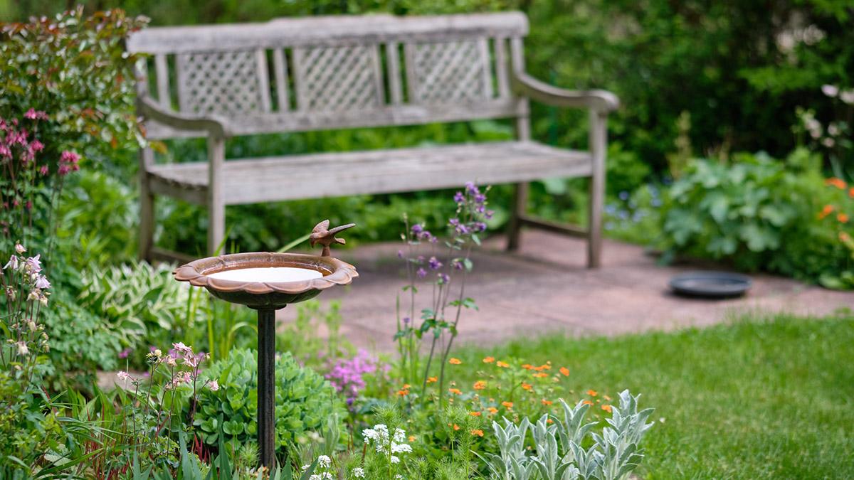 Article Cards Featured Image Memory Garden ideas birdbath bench