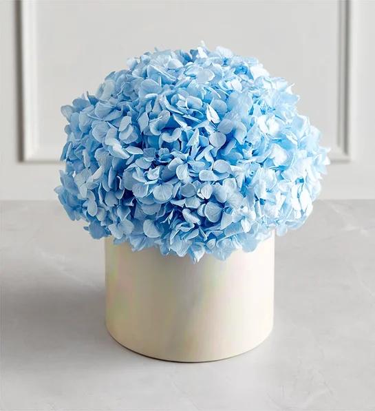 push present ideas Magnificent Roses Preserved Domani Blue Hydrangea