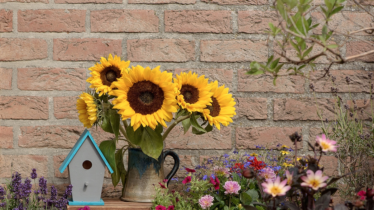 Autumn decor with sunflowers