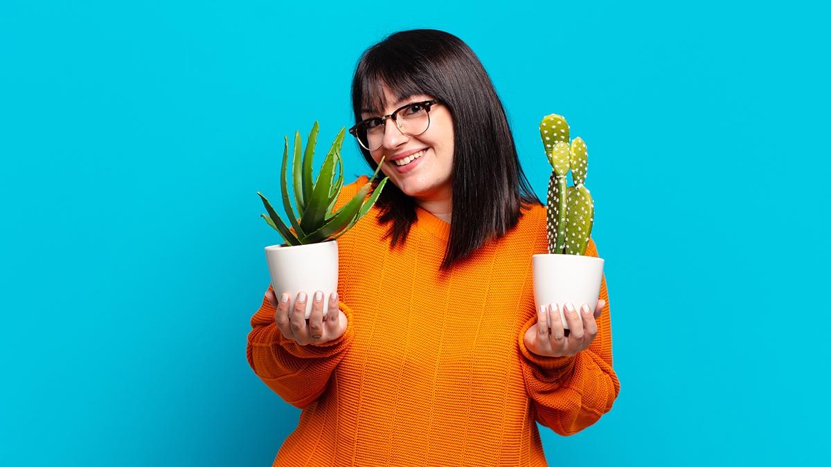 Article Cards Featured Image plus size pretty woman holding cactus. aloe vera concept