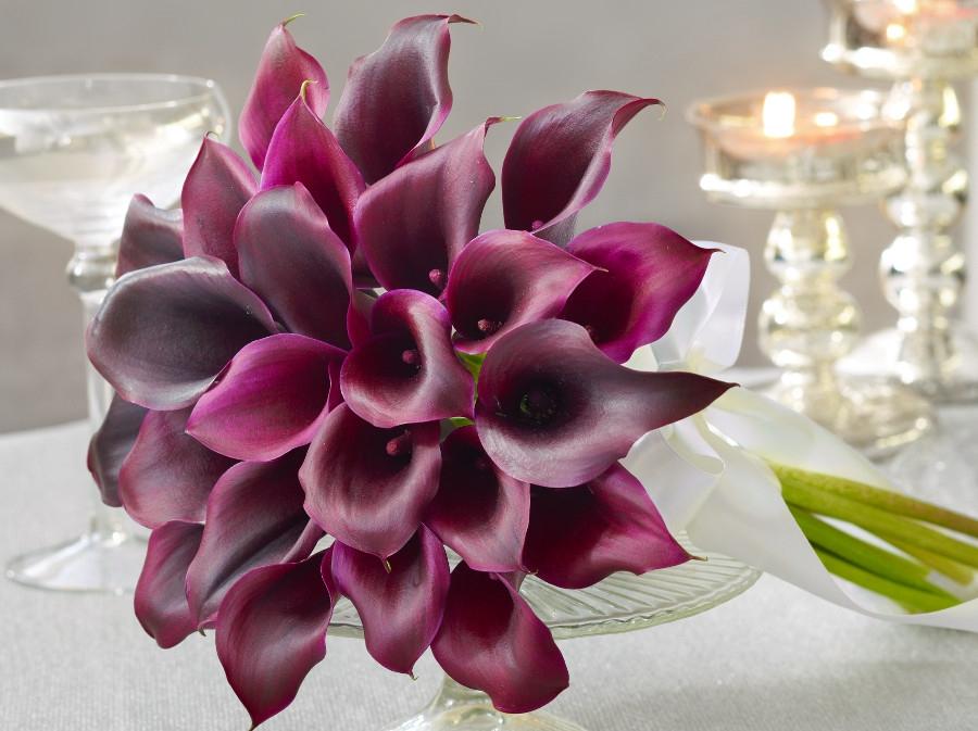 purple calla lilies bouquet