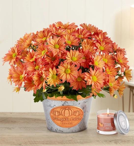 pumpkin spice gifts Pumpkin Patch Mum