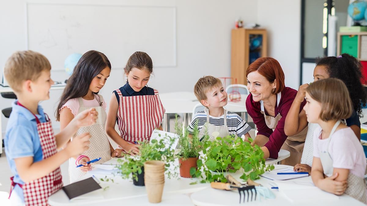 Article Cards Featured Image A group of small school kids with teacher standing in circle in class, planting herbs.