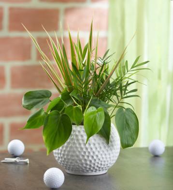 A photo of father’s day crafts with a DIY Father's Day Planter