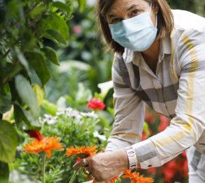 Getting Organized garden