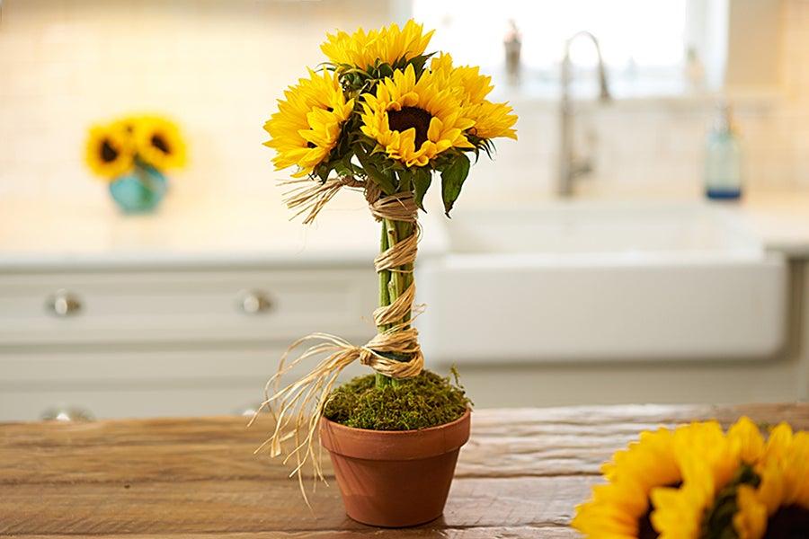 sunflower topiary