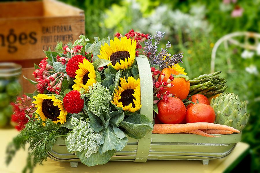 sunflowers and veggies