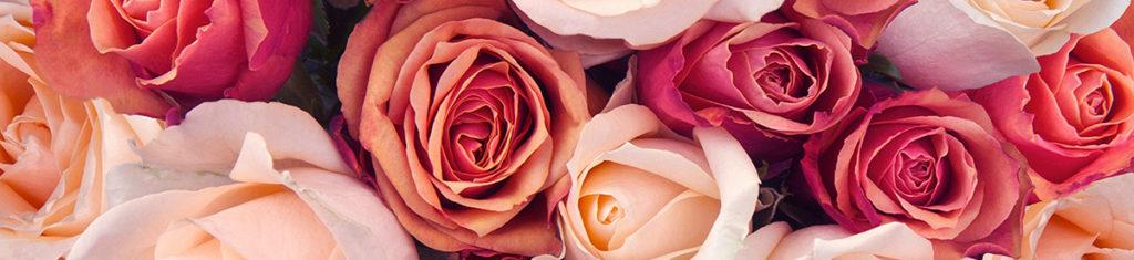 Roses are the most popular flower types,. Their history is very colorful.