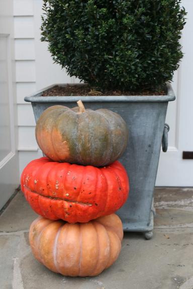 Picture of colorful stacked pumpkins