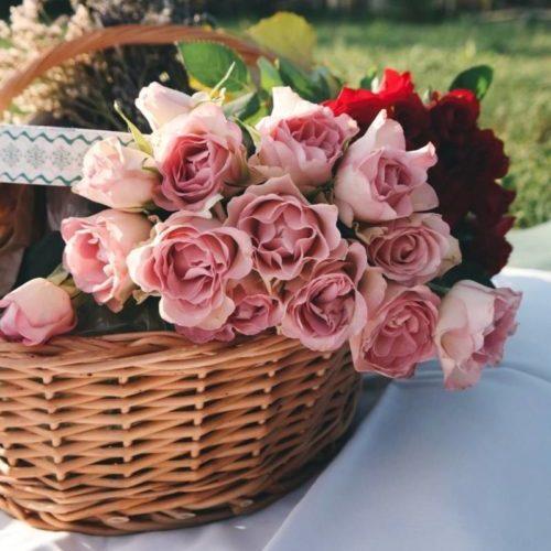 Picture of roses in basket