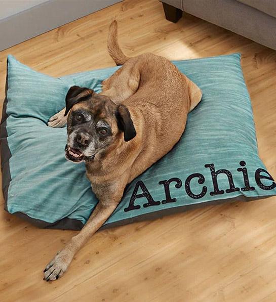 th birthday gift ideas: dog bed