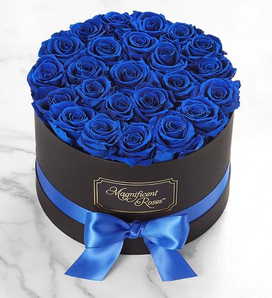 Preserved Blue Velvet Roses