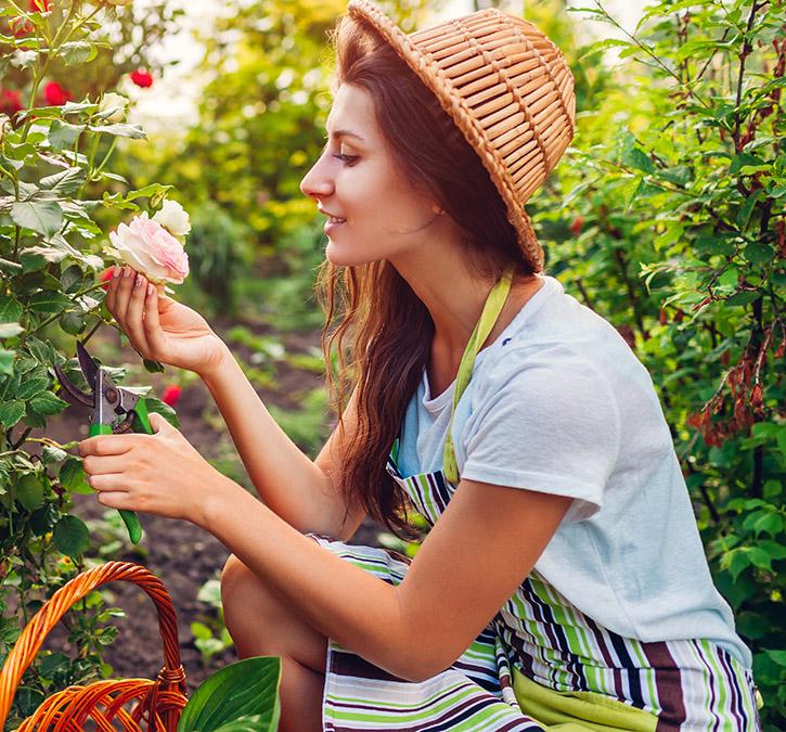 a photo of rose quotes with a woman pruning roses