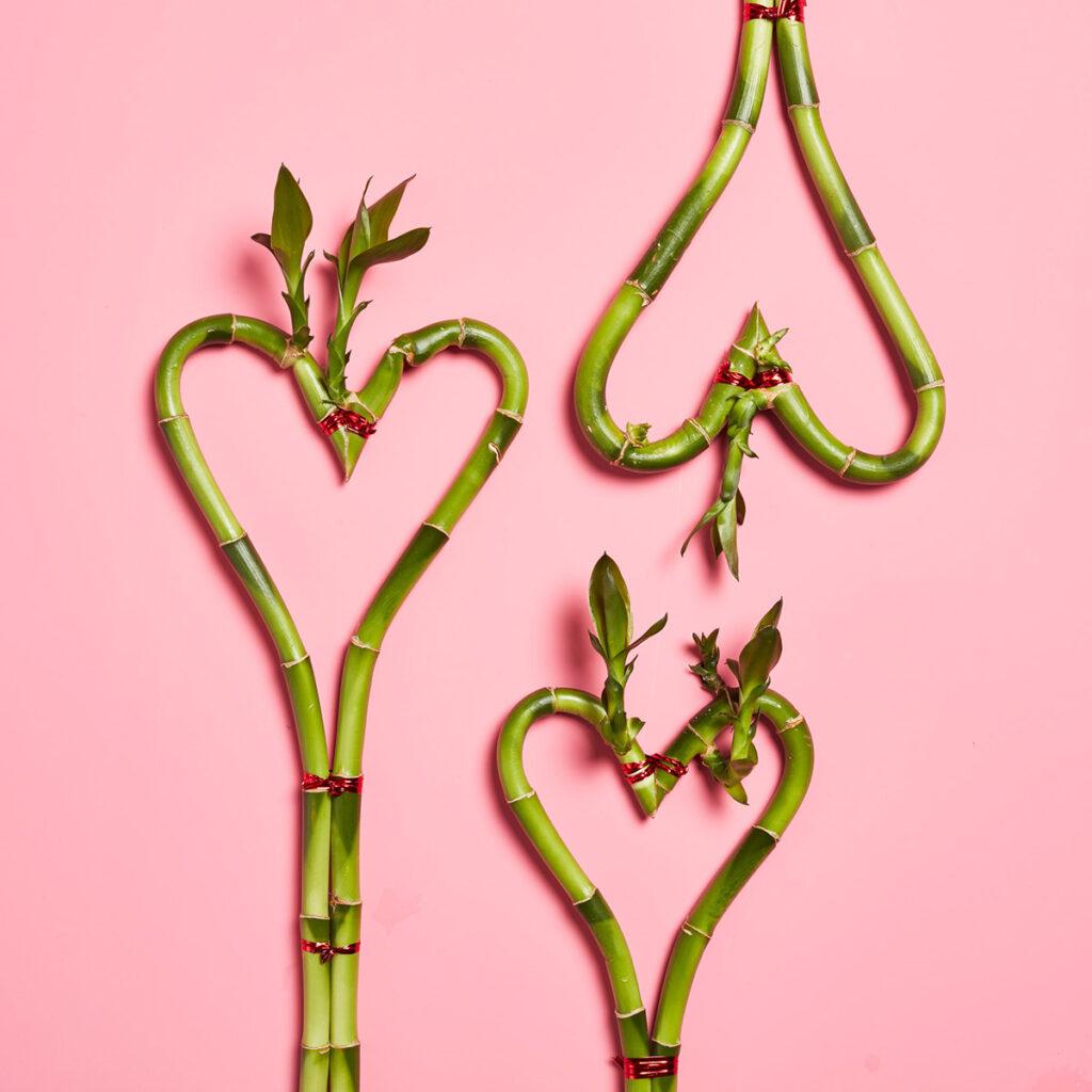 valentines day symbols with heart shaped bamboo