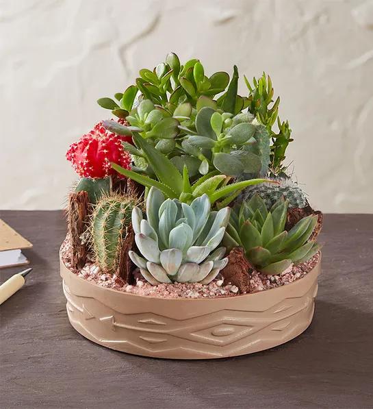 unique father's day gifts with dish garden