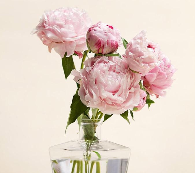 peony foty vase