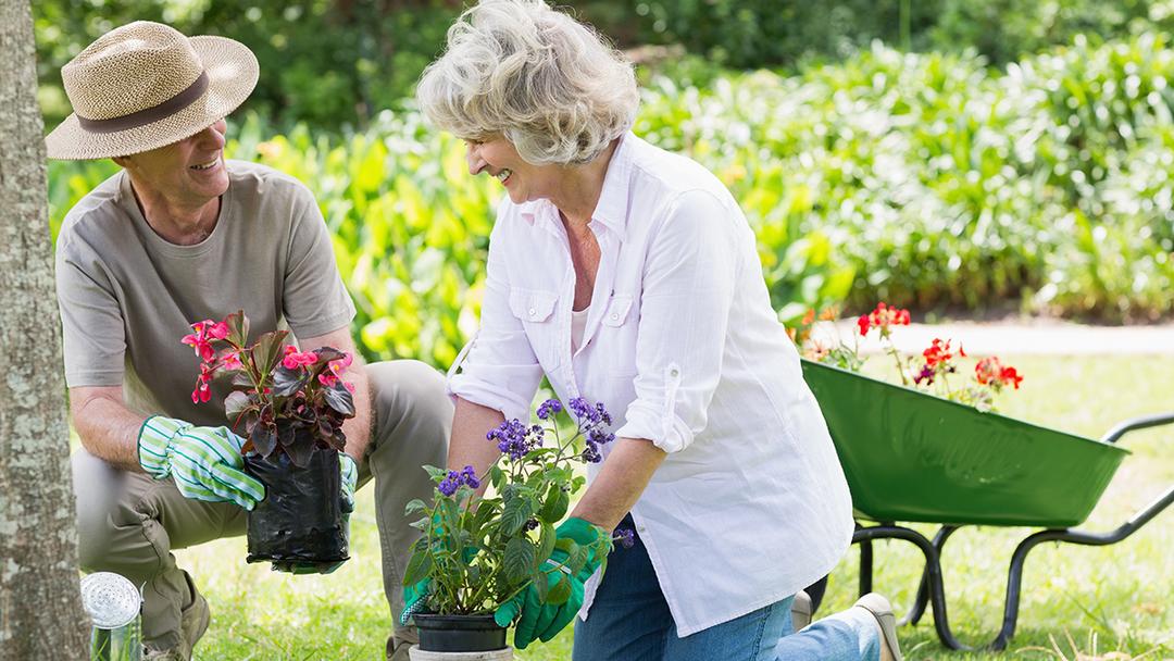 gardening quotes older couple gardening