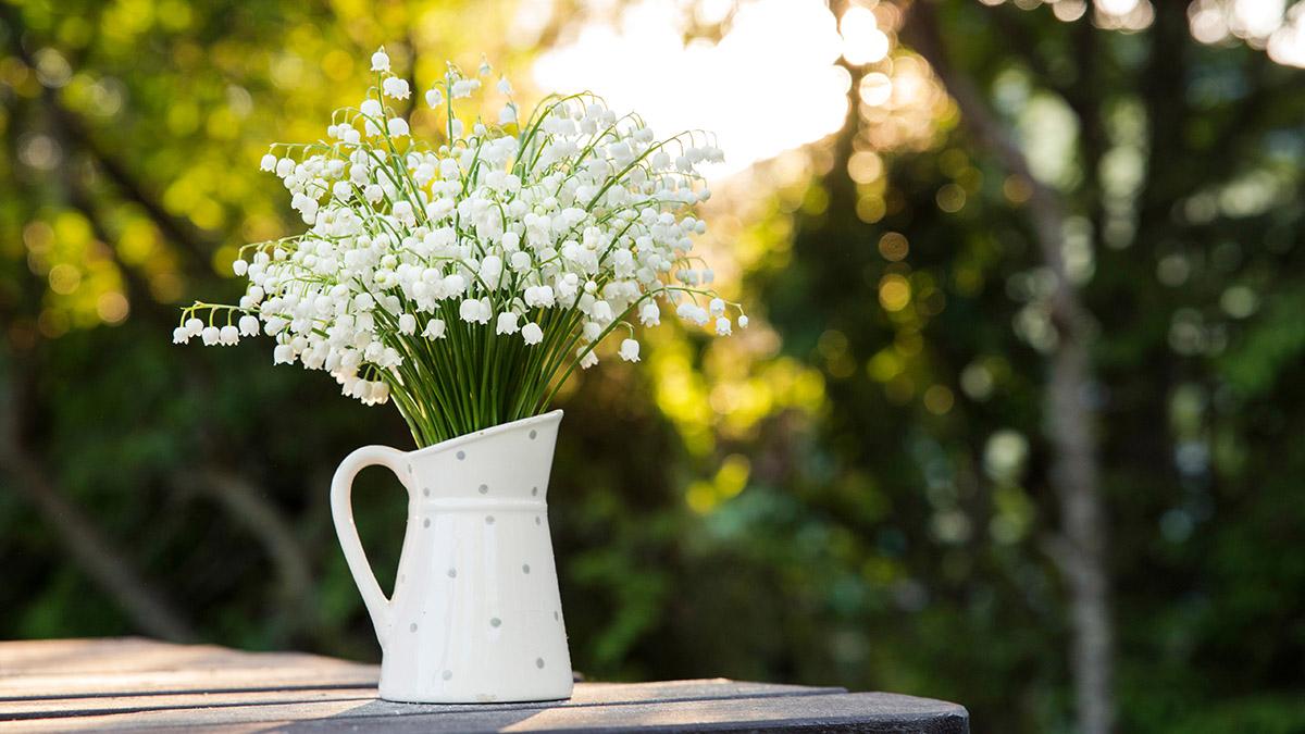 Bouquet of white flowers Lily of the valley  Convallaria majalis